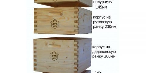 Održavanje pčela u dvotrupnoj košnici za 12 ramova